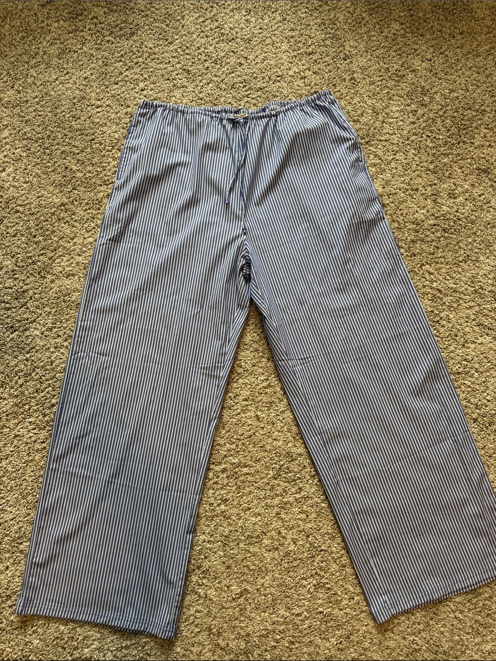 American Eagle Outfitters Blue & White Vertical Stripe Drawstring Pants